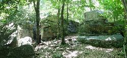 Pottsville Formation conglomerate in the Rock Garden courtesy of User:Ruhrfisch&nearr; (CC BY-SA 4.0&nearr;)