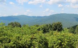The Cohutta Mountains from Cohutta Overlook in Murray County, south of the lake. courtesy of Thomson200&nearr; (CC0&nearr;)