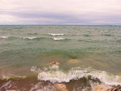 Lake Huron surf breaking over the shallow rocks along the shore courtesy of Ken Lund from Reno, Nevada, USA&nearr; (CC BY-SA 2.0&nearr;)