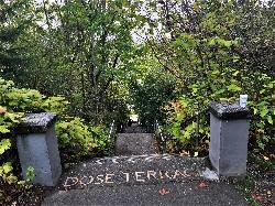 The Dose Terrace stairs climbing the wooded hillside above the Colman Park shore. courtesy of Jon Roanhaus&nearr; (CC BY-SA 4.0&nearr;)