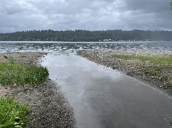 Idylwood Creek crossing the sand at the north end of the beach and emptying into the lake courtesy of Steven Pavlov&nearr; (CC BY-SA 4.0&nearr;)