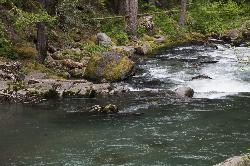 A green pool on the Ohanapecosh River upstream in Mount Rainier National Park courtesy of Mount Rainier National Park from Ashford, WA, United States&nearr; (Public domain&nearr;)