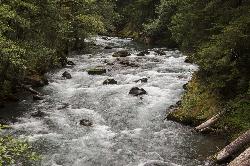 The Ohanapecosh River in Mount Rainier National Park, upstream of Blue Hole courtesy of Mount Rainier National Park from Ashford, WA, United States&nearr; (Public domain&nearr;)