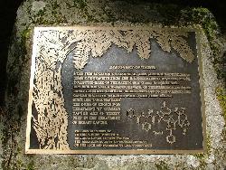 Plaque at La Wis Wis Campground marking the 1962 Pacific yew bark collection that led to Taxol courtesy of U.S. Forest Service- Pacific Northwest Region&nearr; (Public domain&nearr;)