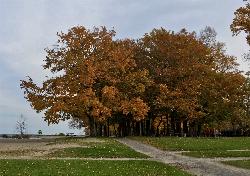 Autumn color on the bluff above the lake courtesy of Andre Carrotflower&nearr; (CC BY-SA 4.0&nearr;)