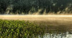Morning mist rising off Jordan Lake a short way up the lake from White Oak courtesy of Larry Lamb&nearr; (CC BY-SA 3.0&nearr;)