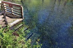 The wooden deck and steps used to get into the spring courtesy of Michael Rivera&nearr; (CC BY-SA 4.0&nearr;)