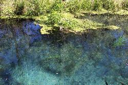 Deep blue water over limestone and eelgrass at the spring courtesy of Michael Rivera&nearr; (CC BY-SA 4.0&nearr;)
