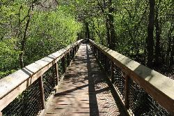 Pedestrian bridge on the half mile Blue Hole Trail courtesy of Michael Rivera&nearr; (CC BY-SA 4.0&nearr;)