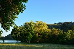 Shade trees along the grass above the lake. courtesy of Joe Mabel&nearr; (CC BY-SA 4.0&nearr;)