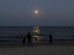 Moonrise over McKinley Beach on an August evening. courtesy of Michael Barera&nearr; (CC BY-SA 4.0&nearr;)