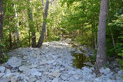 Downstream of Cowan Lake Dam, where the spillway repairs are planned. courtesy of Kyle Hartshorn&nearr; (CC BY 2.0&nearr;)