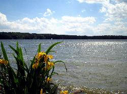 Open water on Cowan Lake, the 692-acre reservoir northeast of Cincinnati. courtesy of Kfasimpaur&nearr; (Public domain&nearr;)