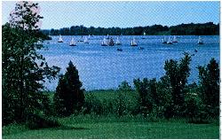 Sailboats finishing a Cowan Lake Sailing Association regatta, a tradition the 10-horsepower limit he added by freearenas (No restrictions)