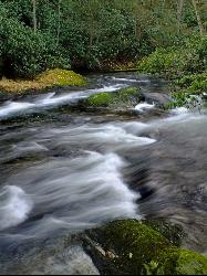 Wild Creek running down toward Beltzville Lake through Carbon County. courtesy of Nicholas&nearr; (CC BY 2.0&nearr;)