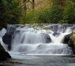 Cascades on Wild Creek above Beltzville Lake. courtesy of Nicholas&nearr; (CC BY 2.0&nearr;)