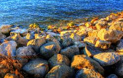 Rocks along the Lake Monona shoreline, typical of the stretches between the sand pockets. Public dom courtesy of Yinan Chen&nearr; (Public Domain&nearr;)
