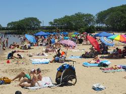 Umbrellas and sunbathers packed onto Ohio Street Beach on a July weekend. courtesy of David Wilson from Oak Park, Illinois, USA&nearr; (CC BY 2.0&nearr;)