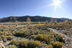 Joes Valley Reservoir in autumn, seen across sagebrush flats from the shore. courtesy of borderlys&nearr; (CC BY 2.0&nearr;)