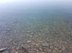Clear shallow water over the flat cobble bottom at the reservoir's east edge. courtesy of Frost Museum&nearr; (CC BY 2.0&nearr;)