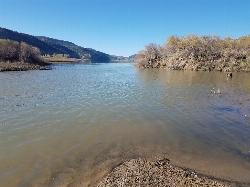 The north arm of the reservoir where the inlet stream enters the lake. courtesy of Frost Museum&nearr; (CC BY 2.0&nearr;)