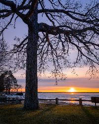 Evening light on the Oneida Lake shoreline at the Verona Beach State Park beach. courtesy of John Brighenti from Rockville, MD, United States&nearr; (CC BY 2.0&nearr;)