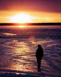 Late-day sun on Oneida Lake from the shore at Verona Beach State Park. courtesy of John Brighenti from Rockville, MD, United States&nearr; (CC BY 2.0&nearr;)