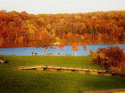 Picnic tables on the lawn above Lake Arthur in Moraine State Park. courtesy of ILoveCustard&nearr; (CC0&nearr;)