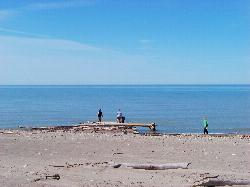 Visitors at the water's edge among driftwood on Beach 1. courtesy of Idawriter&nearr; (CC BY-SA 3.0&nearr;)