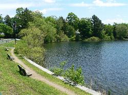 The grassy shoreline path and benches along the edge of Crystal Lake. courtesy of NewtonCourt&nearr; (CC BY-SA 4.0&nearr;)