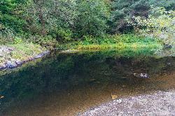 The Youngs River just below Youngs River Falls. courtesy of Gary Halvorson, Oregon State Archives&nearr; (CC BY 4.0&nearr;)