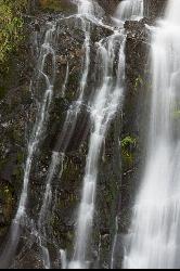 A vertical view of Youngs River Falls. courtesy of Gary Halvorson, Oregon State Archives&nearr; (CC BY 4.0&nearr;)