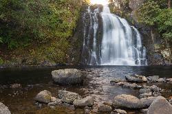 Youngs River Falls on the Youngs River. courtesy of Gary Halvorson, Oregon State Archives&nearr; (CC BY 4.0&nearr;)
