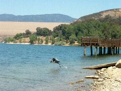 A heron takes off near the wooden fishing pier on Castaic Lagoon. courtesy of Summit Hopper&nearr; (CC BY 2.0&nearr;)