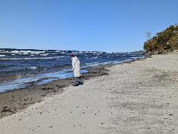 A visitor walking the sand at the water's edge on a windy fall day. courtesy of PunkToad&nearr; (CC BY 2.0&nearr;)