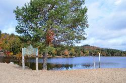 A pine and the beach sign on the sand at Long Lake Town Beach, with the swim area behind. courtesy of Idawriter&nearr; (CC BY-SA 3.0&nearr;)