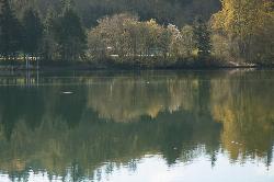Morning reflections on Mayfield Lake below Ike Kinswa State Park. courtesy of TerriJane01&nearr; (CC BY-SA 2.0&nearr;)