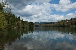Calm water and wooded shores on Mayfield Lake at Ike Kinswa State Park. courtesy of TerriJane01&nearr; (CC BY-SA 2.0&nearr;)