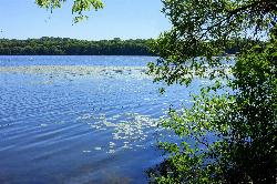Upper Mystic Lake on a sunny day, looking across to the wooded far shore. courtesy of Daderot&nearr; (CC0&nearr;)
