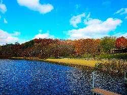 The empty beach in autumn color, looking along the shoreline from the pier. courtesy of Corey Coyle&nearr; (CC BY 3.0&nearr;)