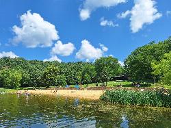 The beach, stone wall and grassy picnic area seen from the water in July. courtesy of Heidi Meudt&nearr; (CC BY 4.0&nearr;)