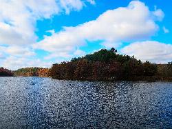 Open water and the pine-covered shore of Cox Hollow Lake near the beach. courtesy of Corey Coyle&nearr; (CC BY 3.0&nearr;)