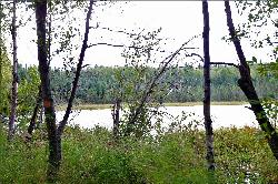 A view of Goose Lake through the woods along the park trail. courtesy of Enrico Blasutto&nearr; (CC BY-SA 4.0&nearr;)