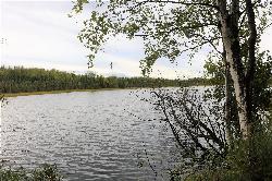 Goose Lake seen from its wooded shoreline in early fall. courtesy of Enrico Blasutto&nearr; (CC BY-SA 4.0&nearr;)