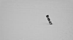 A swim area marker buoy frozen into the ice off Lake Macbride Beach in winter. courtesy of gfairchild&nearr; (CC BY 2.0&nearr;)