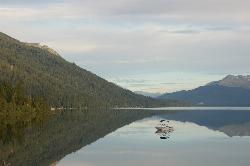 A calm summer morning on Lake Wenatchee seen from the state park shore. courtesy of Steve Andersen from Seattle, WA, USA&nearr; (CC BY-SA 2.0&nearr;)