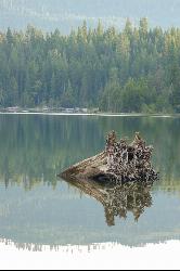 Clear, still water over the stony lake bottom off the park shore, with the north-shore mountain refl courtesy of Steve Andersen from Seattle, WA, USA&nearr; (CC BY-SA 2.0&nearr;)