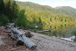 Sandy shoreline and driftwood logs along the lake edge in Lake Wenatchee State Park. courtesy of Steve Andersen from Seattle, WA, USA&nearr; (CC BY-SA 2.0&nearr;)