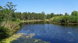 The Pinnebog River, which winds through the park before reaching Lake Huron. courtesy of Notorious4life (talk) (Uploads)&nearr; (CC0&nearr;)