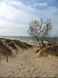 A fenced sand path through the dunes leading down to the lake at West Beach. courtesy of hakkun&nearr; (CC BY-SA 3.0&nearr;)